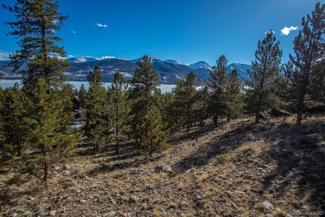 123 La Plata Peak Dr, Twin Lakes, CO 81251