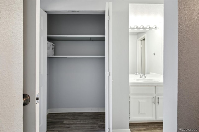 closet with sink