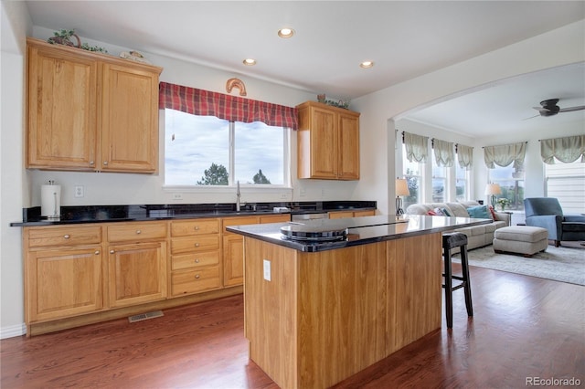 kitchen with dark hardwood / wood-style floors, a kitchen island, a healthy amount of sunlight, and sink