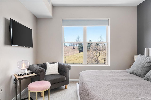 bedroom featuring carpet