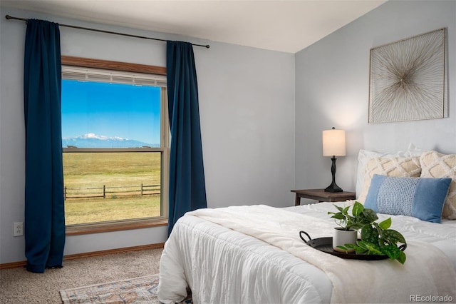 5695 Peerless Farms Rd, Peyton, CO 80831 - photo 17