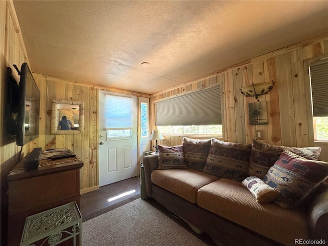 582 Pactolus Lake Rd, Black Hawk, CO 80422 - living area with wooden walls and a textured ceiling