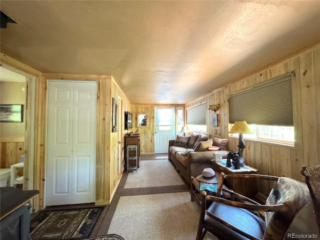582 Pactolus Lake Rd, Black Hawk, CO 80422 - carpeted living area with wood walls and a textured ceiling