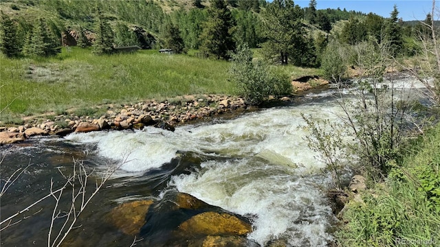 582 Pactolus Lake Rd, Black Hawk, CO 80422 - exterior view of a forest
