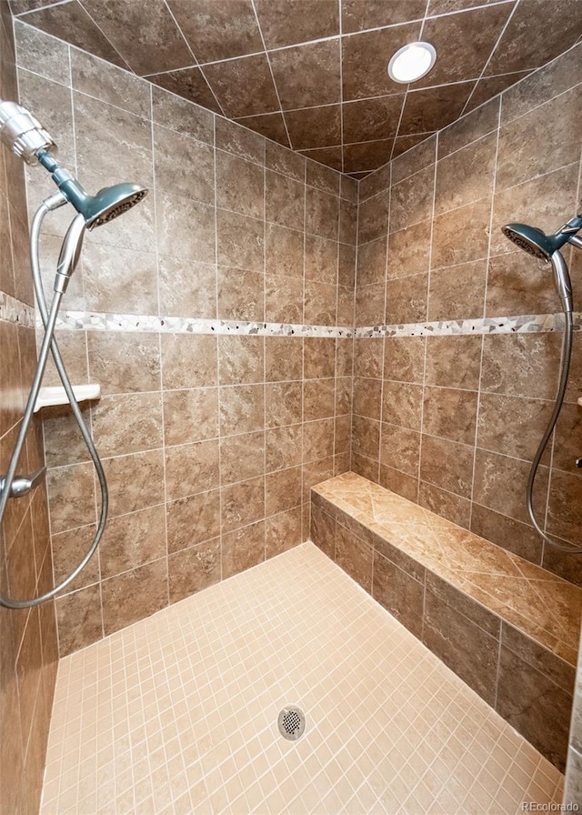 15948 Huckleberry Hts, Colorado Springs, CO 80908 - full bathroom with a tile shower