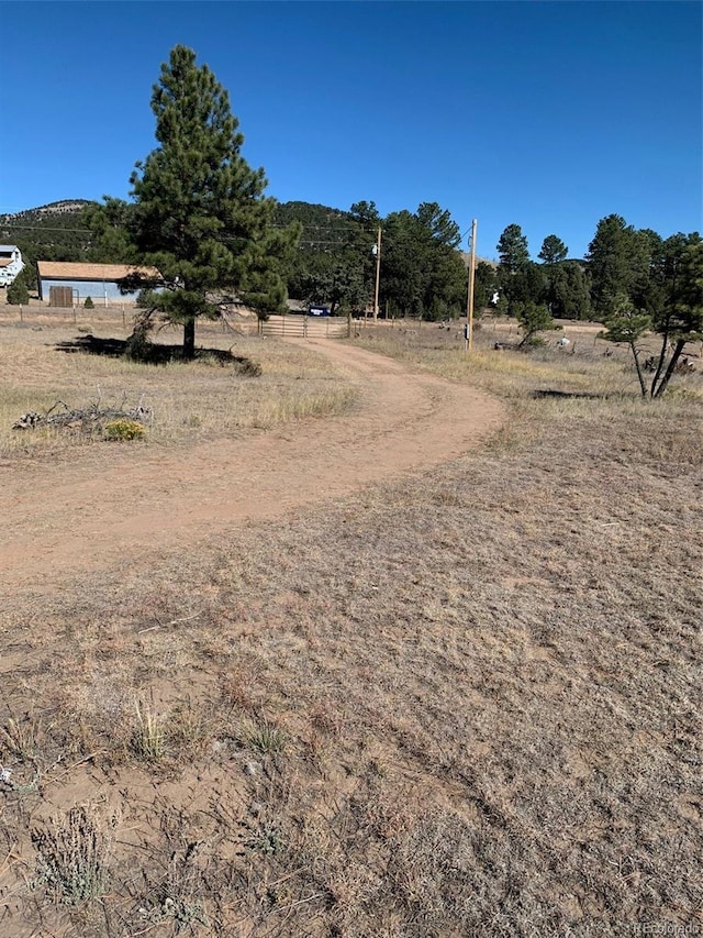 2026 L Path, Cotopaxi, CO 81226