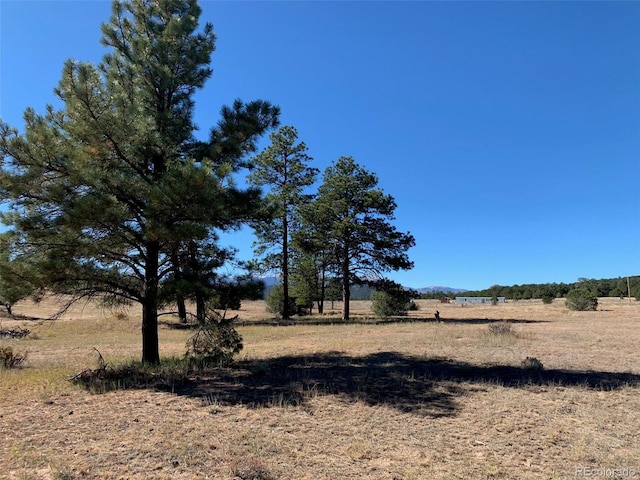 2026 L Path, Cotopaxi, CO 81226