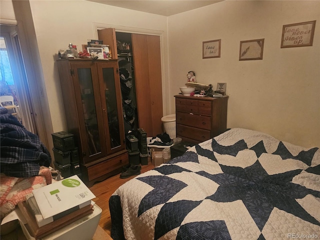 bedroom with wood finished floors and a closet