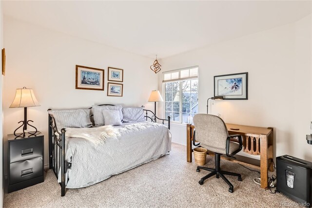 bedroom featuring carpet