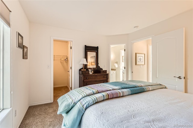 bedroom with carpet floors, a spacious closet, a closet, and connected bathroom