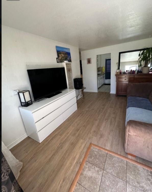 living room with hardwood / wood-style flooring