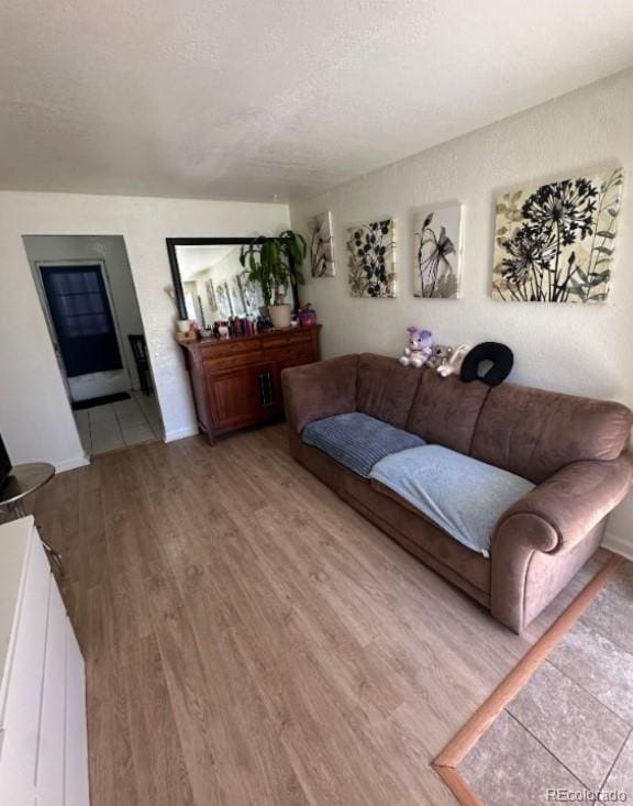 living room featuring hardwood / wood-style flooring