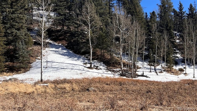 506 Arrowhead Rd, Florissant CO, 80816 land for sale