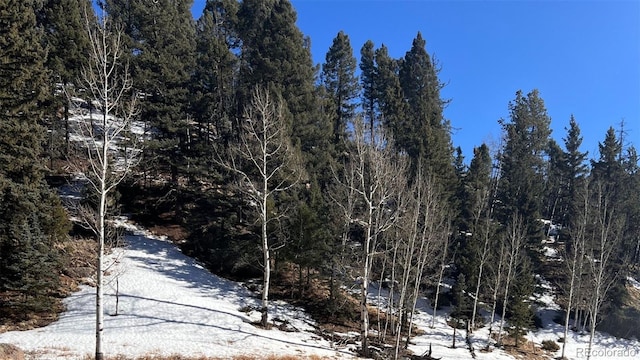 Listing photo 3 for 506 Arrowhead Rd, Florissant CO 80816