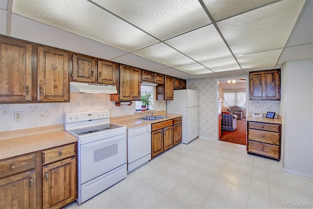 kitchen featuring ceiling fan, white appliances, a drop ceiling, and sink