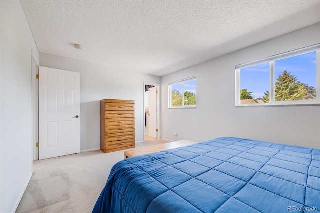 7350 Devinney Ct, Arvada, CO 80005 - photo 24