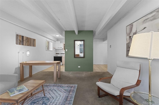 555 E 10th Ave Unit 15, Denver, CO 80203 - living area featuring light colored carpet