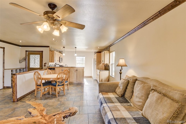 130 Windwalker Rd, Buena Vista, CO 81211 - living area featuring crown molding and a ceiling fan