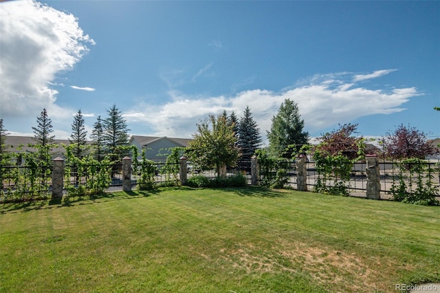 130 Windwalker Rd, Buena Vista, CO 81211 - view of yard