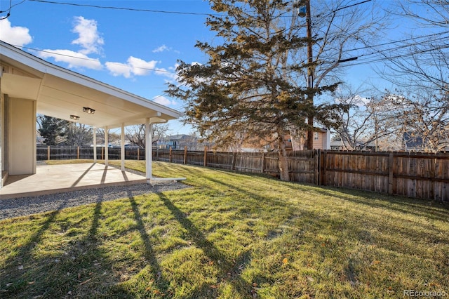 view of yard featuring a patio