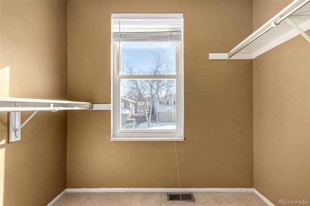 walk in closet with light carpet