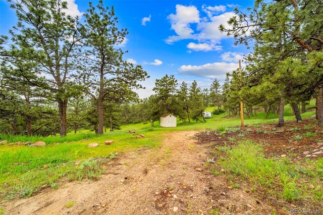 3204 Indian Blind Trl, Loveland, CO 80537 - photo 4