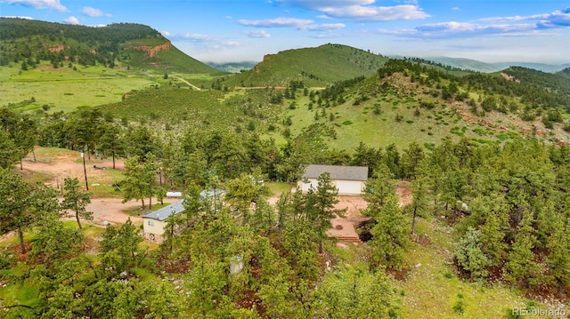 3204 Indian Blind Trl, Loveland, CO 80537 - photo 9