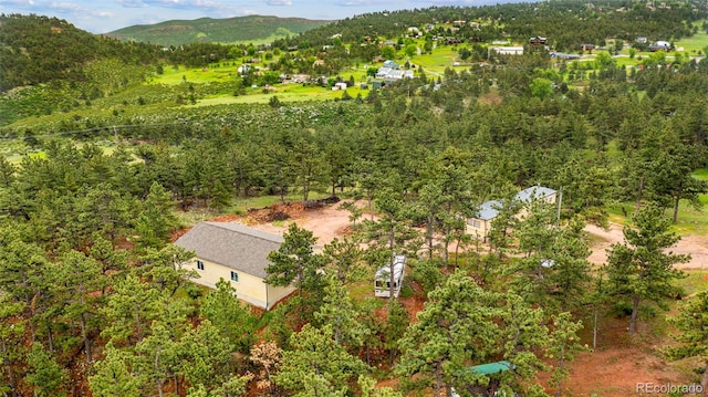 3204 Indian Blind Trl, Loveland, CO 80537 - photo 30