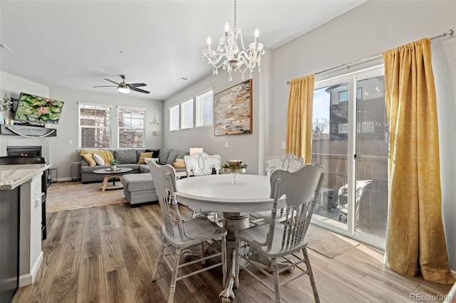 dining room with ceiling fan with notable chandelier, plenty of natural light, and light wood-type flooring