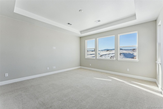 carpeted spare room with a tray ceiling