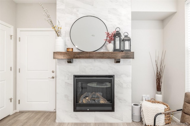 room details with a fireplace and wood-type flooring