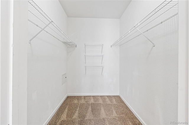 walk in closet with carpet floors