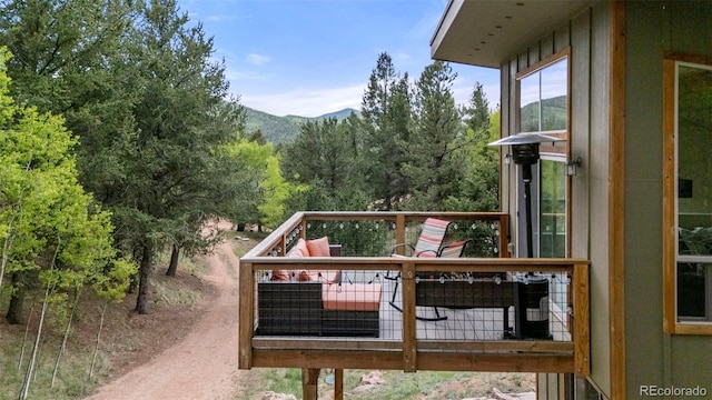 529 Grosbeak Cir, Divide, CO 80814 - photo 31