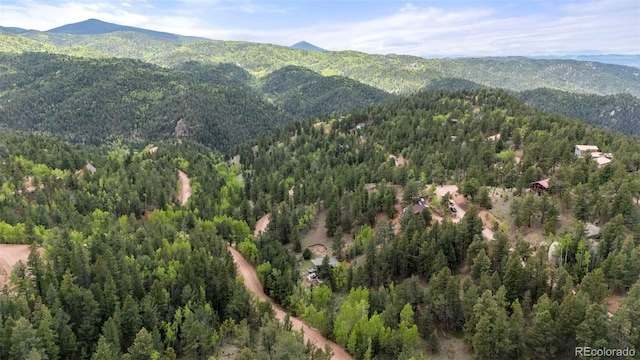 529 Grosbeak Cir, Divide, CO 80814 - photo 35