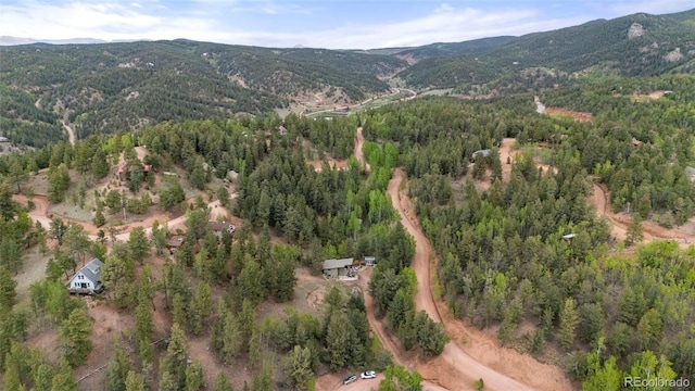 529 Grosbeak Cir, Divide, CO 80814 - photo 36