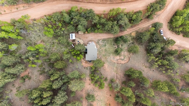 529 Grosbeak Cir, Divide, CO 80814 - photo 37