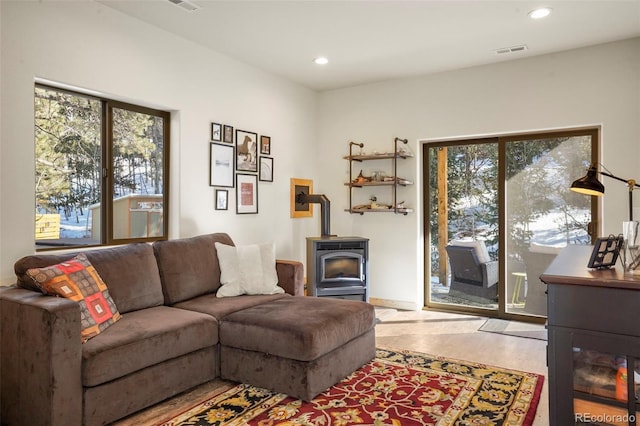 529 Grosbeak Cir, Divide, CO 80814 - photo 3