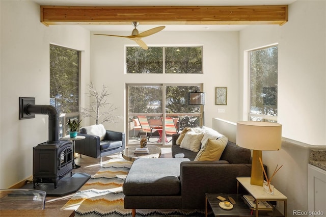 529 Grosbeak Cir, Divide, CO 80814 - photo 13