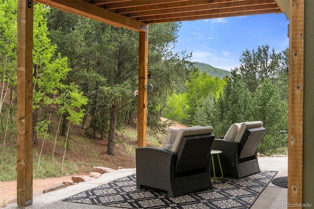 529 Grosbeak Cir, Divide, CO 80814 - photo 22