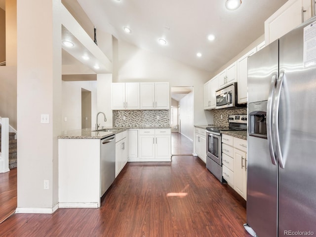 kitchen with lofted ceiling, dark wood-type flooring, a sink, appliances with stainless steel finishes, and light stone countertops