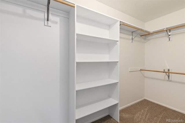 spacious closet with carpet floors