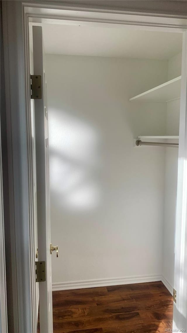 walk in closet featuring dark hardwood / wood-style floors