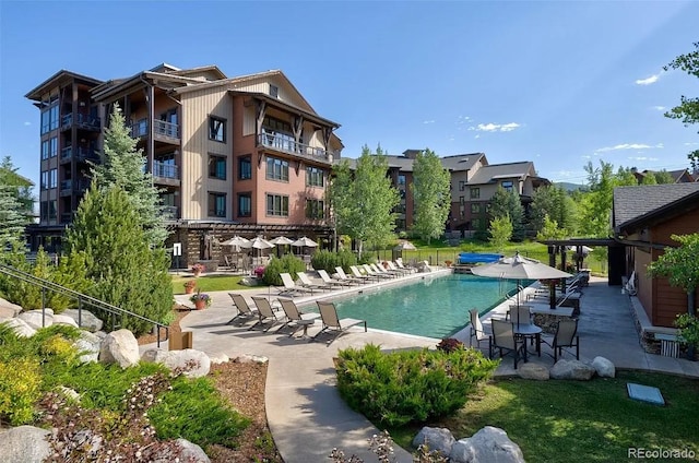 view of pool featuring a patio