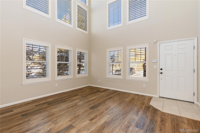 foyer entrance featuring a high ceiling and wood-type flooring