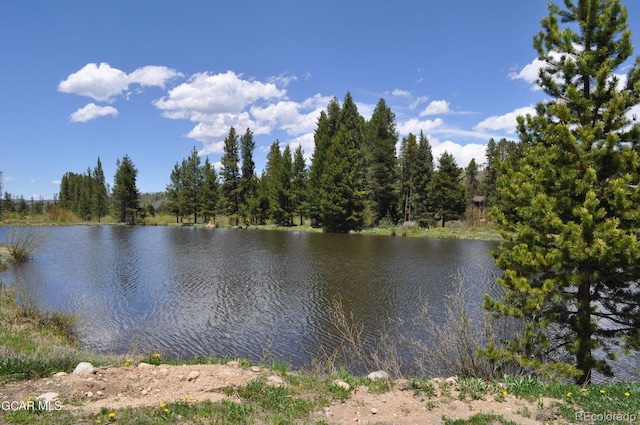 51 River Dr Unit 10, Winter Park, CO 80482 - photo 42