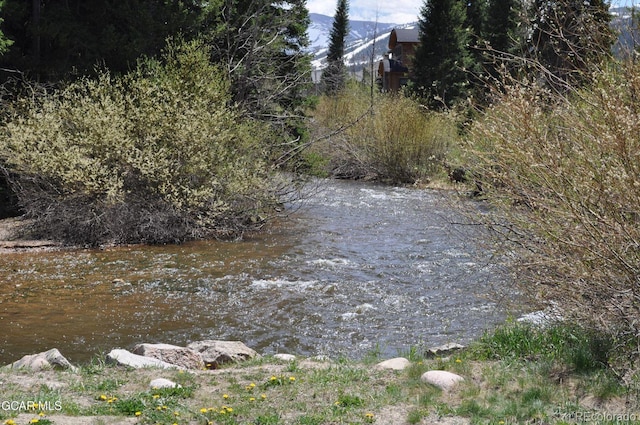 51 River Dr Unit 10, Winter Park, CO 80482 - photo 44