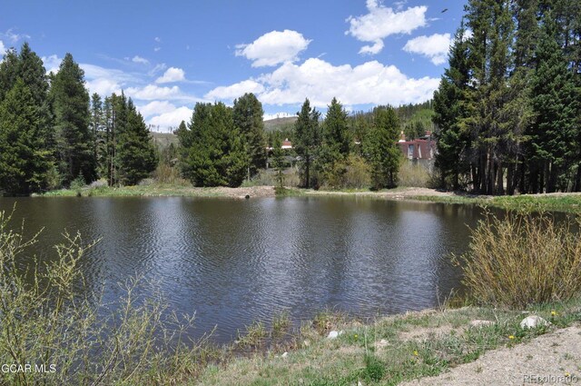 51 River Dr Unit 10, Winter Park, CO 80482 - photo 45