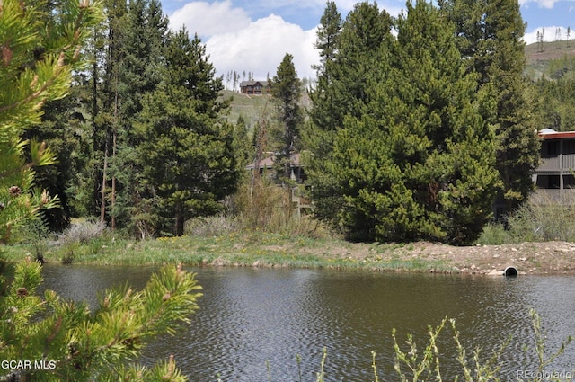 51 River Dr Unit 10, Winter Park, CO 80482 - photo 46