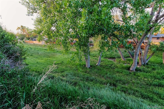 16291 E 7th Dr, Aurora, CO 80011 - view of yard