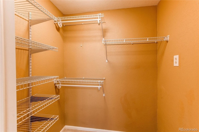 16291 E 7th Dr, Aurora, CO 80011 - view of walk in closet